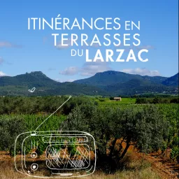 Itinéraires sonores en Terrasses du Larzac Podcast artwork