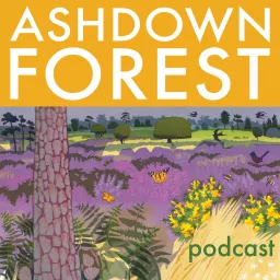 Ashdown Forest podcast artwork