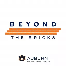 Beyond the Bricks Podcast artwork
