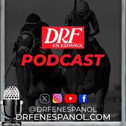 DRF en Español Podcast artwork