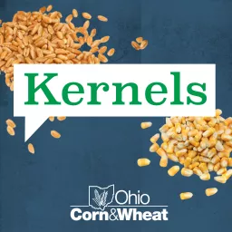 Kernels with Ohio Corn & Wheat Podcast artwork