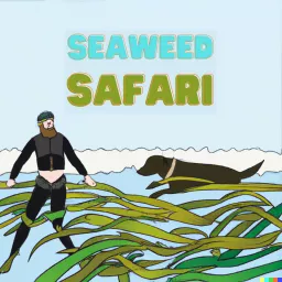 Seaweed Safari Podcast artwork