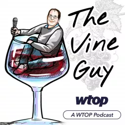 The Vine Guy Podcast artwork
