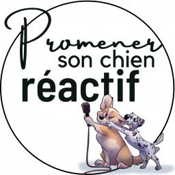 Promener son chien réactif