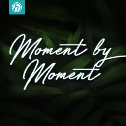 Moment by Moment Podcast artwork