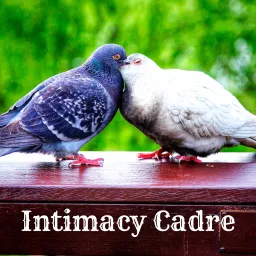 Intimacy Cadre Podcast artwork