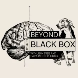 Beyond the Black Box Podcast artwork