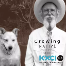 Growing Native with Petey Mesquitey Podcast artwork
