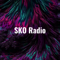 SKO Radio - Tech, Carrier and Life