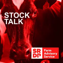 Stock Talk