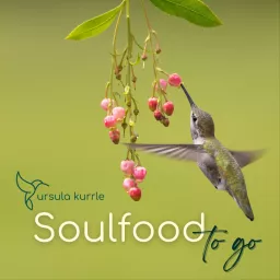 Soulfood to go Podcast artwork