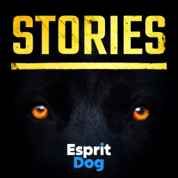 Stories - Esprit Dog