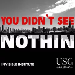 You Didn't See Nothin Podcast artwork