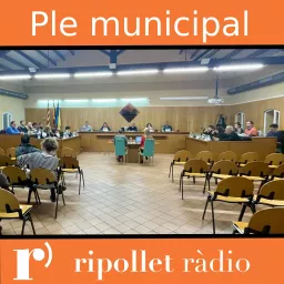Retransmissió del Ple Municipal de Ripollet Podcast artwork