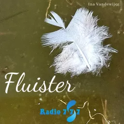 Fluister Podcast artwork