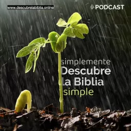 Simplemente Descubre la Biblia Simple