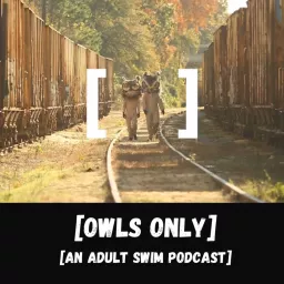 Owls Only: An Adult Swim Podcast artwork