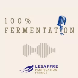 100% Fermentation Podcast artwork