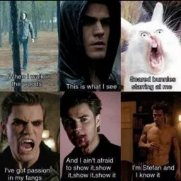 Reading The Vampire Diaries: Stefan's Diaries