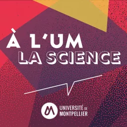 A l'UM la science Podcast artwork