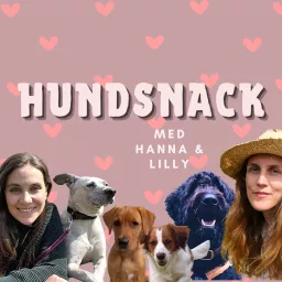 Hundsnack med Hanna och Lilly Podcast artwork
