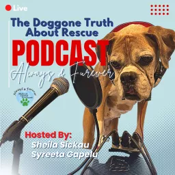 The Doggone Truth About Rescue - Always & Furever