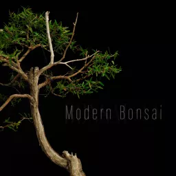 Modern Bonsai Podcast artwork