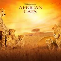 Bunny Lewis' African Cats Podcast artwork