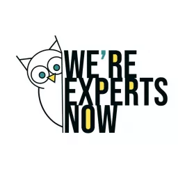 We're Experts Now Podcast artwork