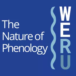 The Nature of Phenology | WERU 89.9 FM Blue Hill, Maine Local News and Public Affairs Archives