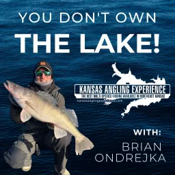 You Don't Own The Lake! Podcast artwork