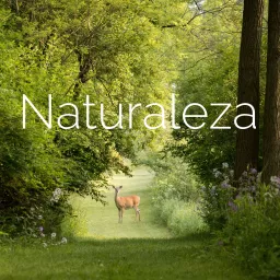 Naturaleza Podcast artwork