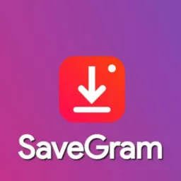 SaveGram.Info Instagram Downloader - All Features