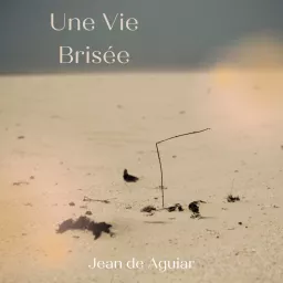 Une vie brisée Podcast artwork