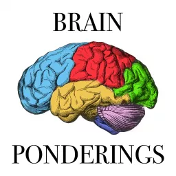 Brain Ponderings podcast with Mark Mattson