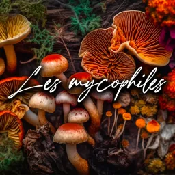 Les Mycophiles Podcast artwork