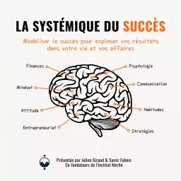 La systémique du succés