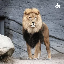 the lion king Podcast artwork
