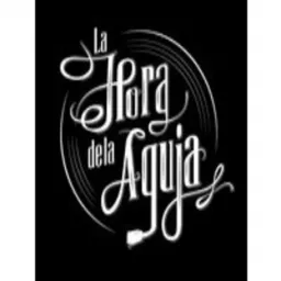 La Hora de la Aguja Podcast artwork