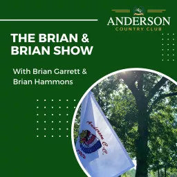 The Brian & Brian Show Podcast artwork