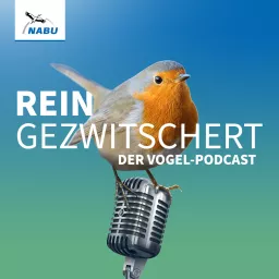 REINGEZWITSCHERT – der Vogel-Podcast artwork