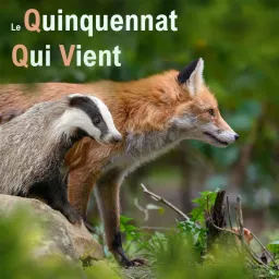 LE QUINQUENNAT QUI VIENT Podcast artwork