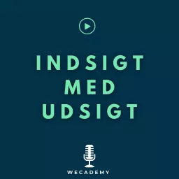 Indsigt med Udsigt