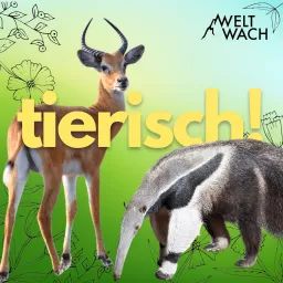 Tierisch! – Entdeckungsreise in die wilde Welt der Tiere