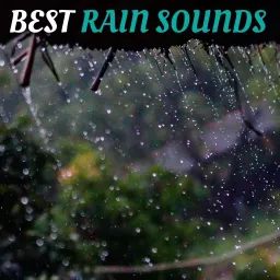 Best Rain Sounds