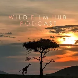 Wild Film Hub Podcast artwork