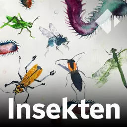 Insekten Podcast artwork