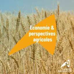 Economie & perspectives agricoles par les Chambres d'agriculture