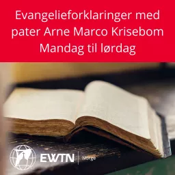 Evangelieforklaringer med pater Arne Marco Podcast artwork