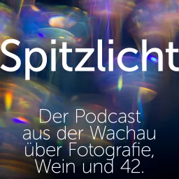 Spitzlicht Podcast artwork